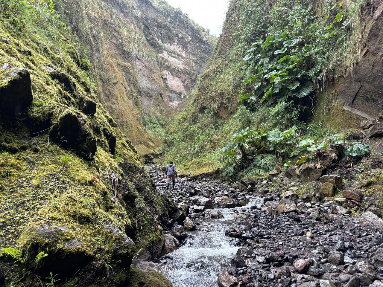 La 'Tierra de los Osos', un tesoro turístico natural y comunitario de Tungurahua