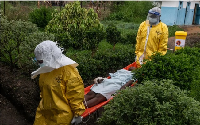 Potencial propagación de brote de ébola en región africana