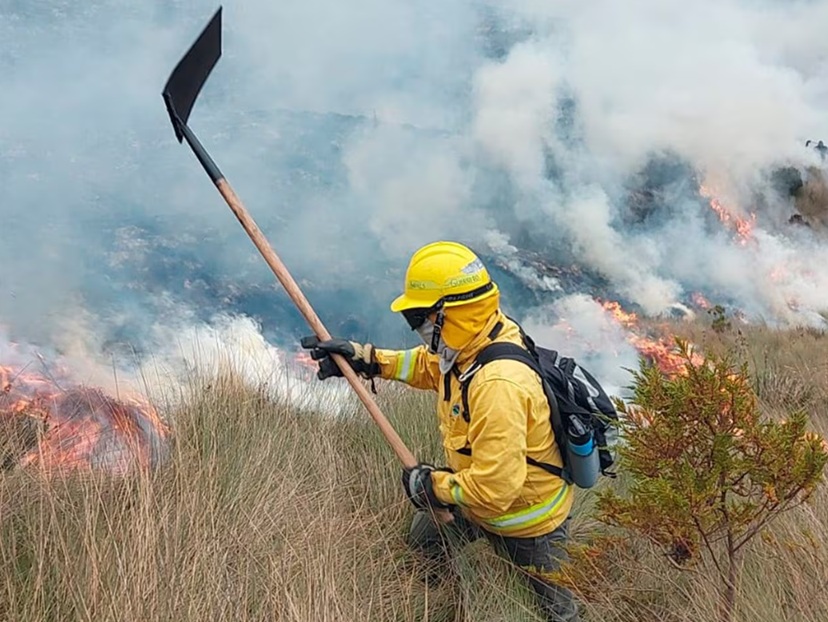 Los incendios forestales se incrementan en el país